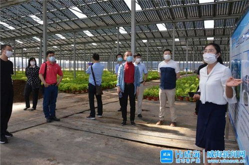 智慧大腦賦能產(chǎn)業(yè)升級(jí) 威海臨港區(qū)以新材料技術(shù)開(kāi)發(fā)服務(wù)引領(lǐng)振興之路